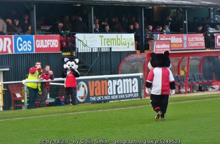 Các linh vật của Woking FC trên sân nhà, thể hiện tinh thần cộng đồng của câu lạc bộ bóng đá Anh
