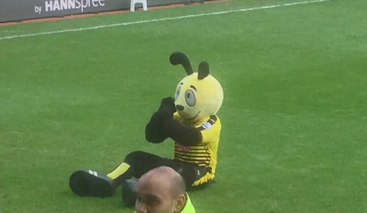 Hình ảnh linh vật nổi tiếng Harry The Hornet của Watford FC